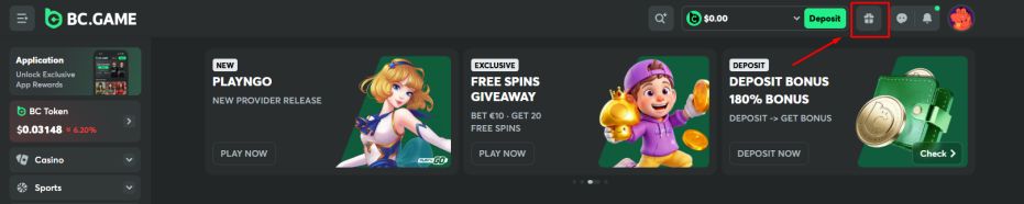 Navigate to the Promo Code Section